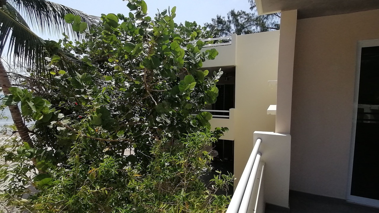 Photo of Outdoor in Isla Mujeres