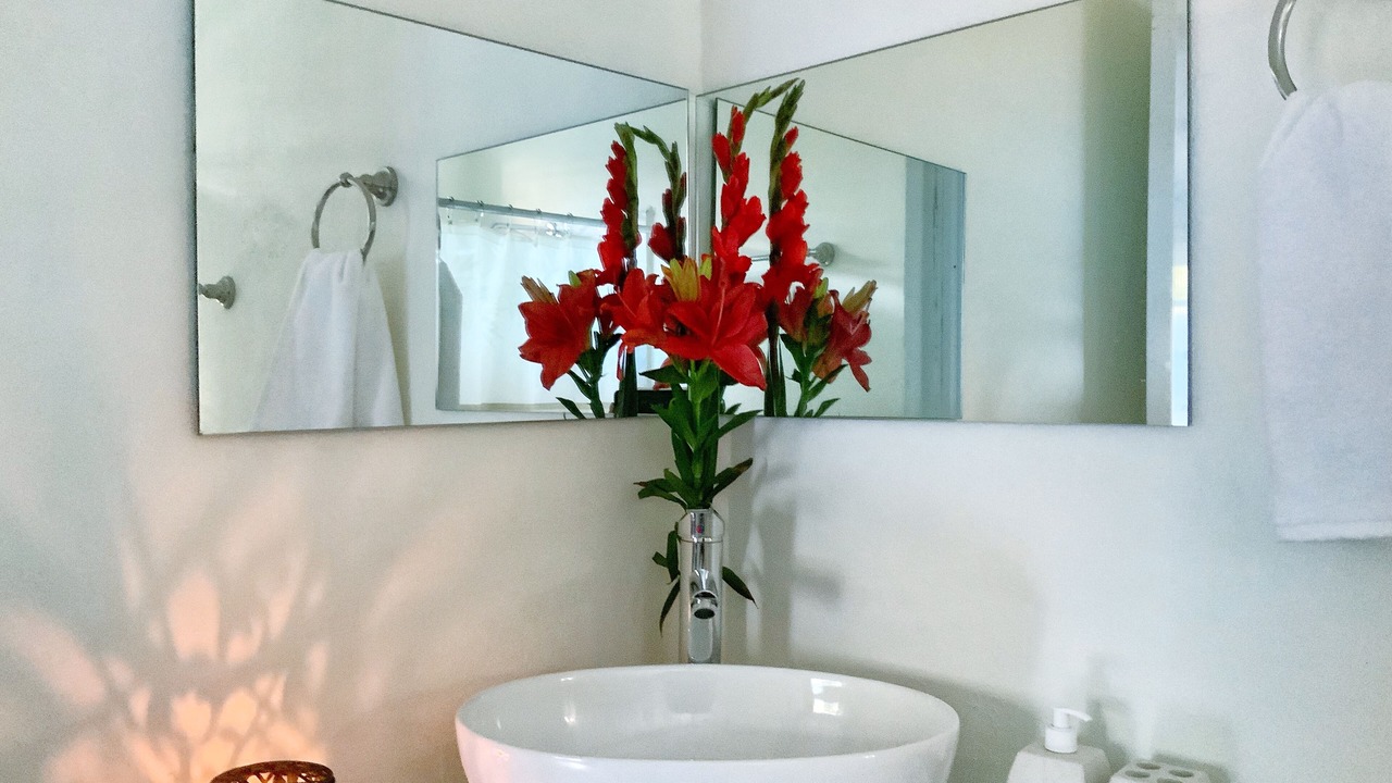 Photo of Bathroom in Colonia Centro