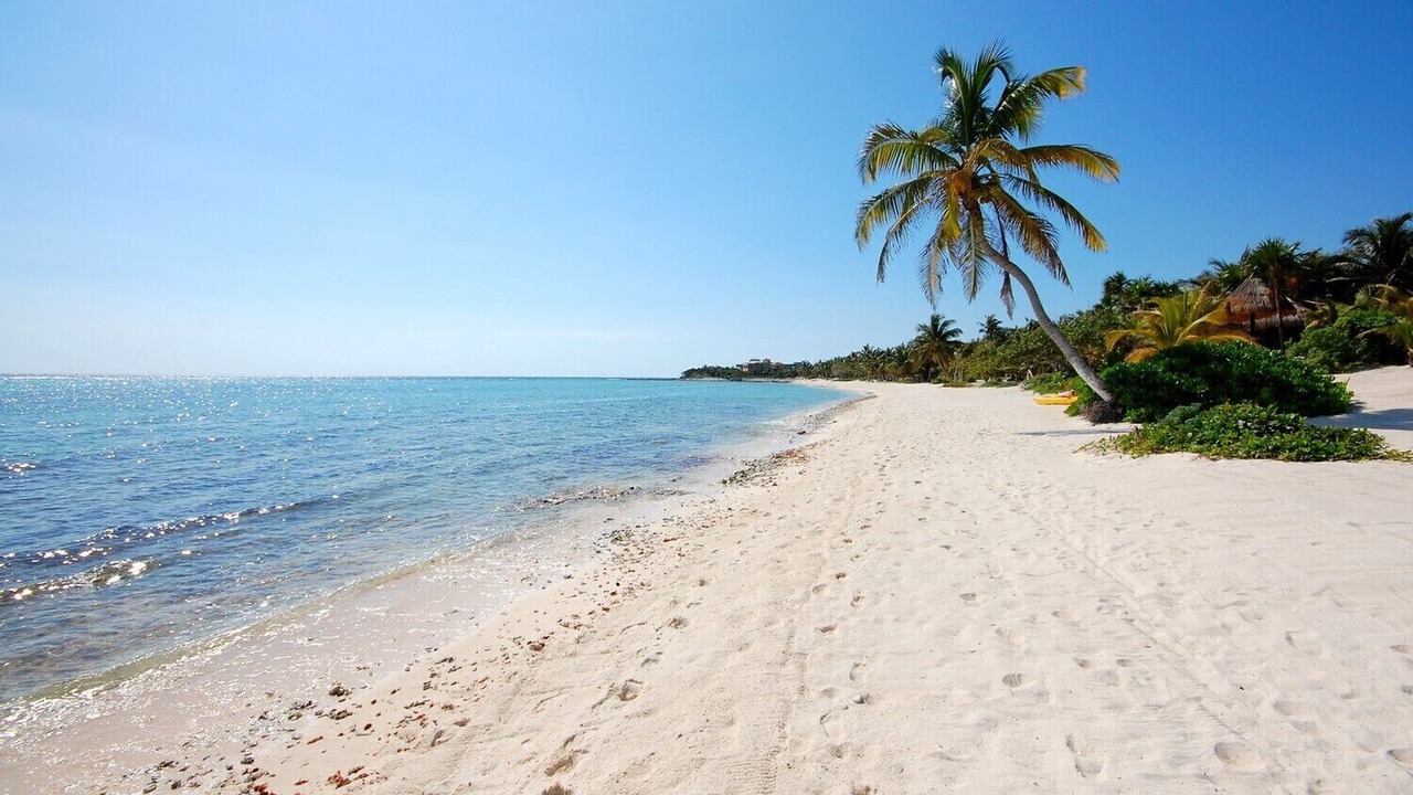 Photo of Others in Akumal