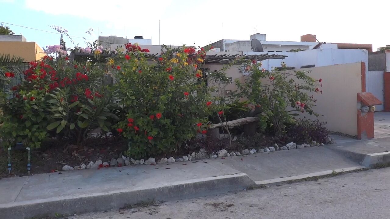 Photo of Outdoor in Majahual