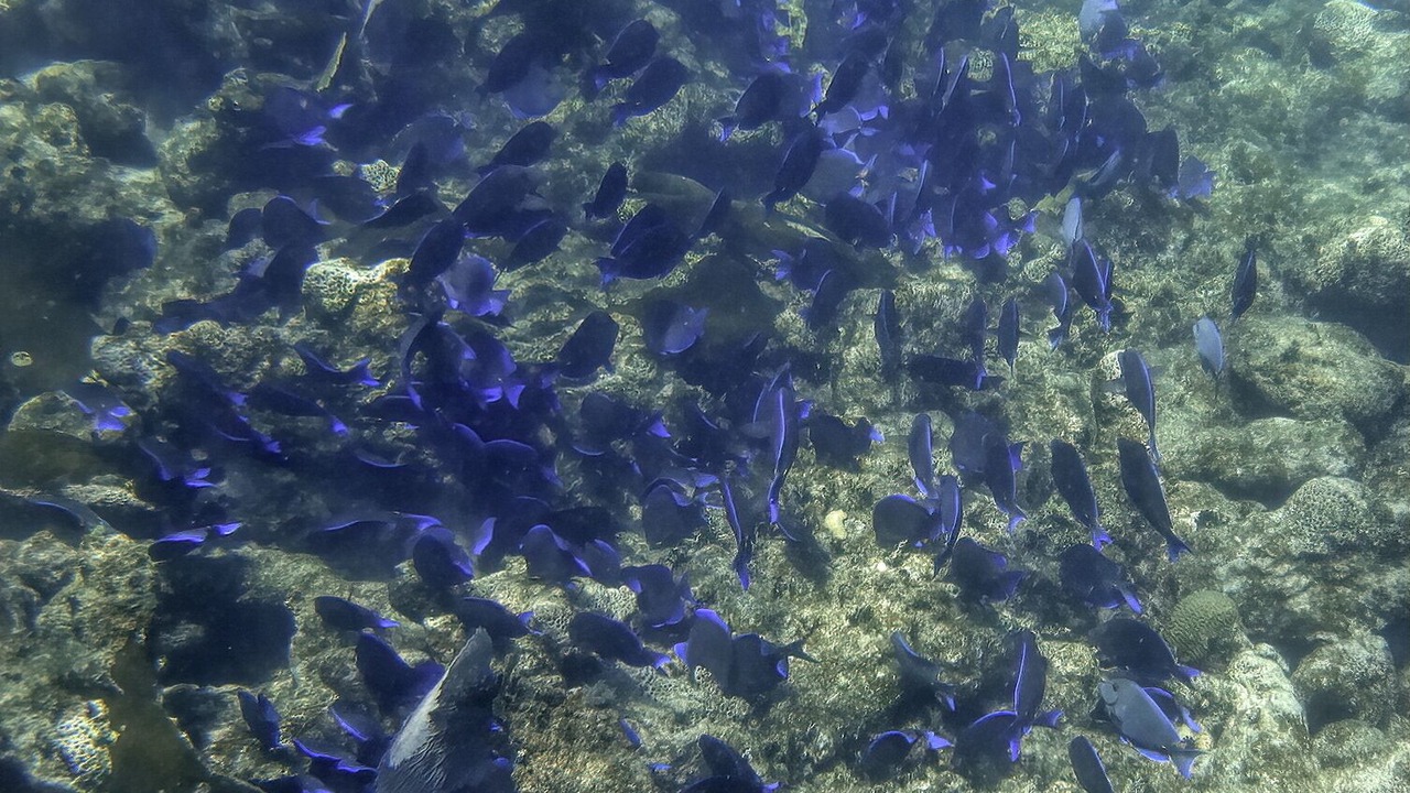 Photo of Outdoor in Majahual