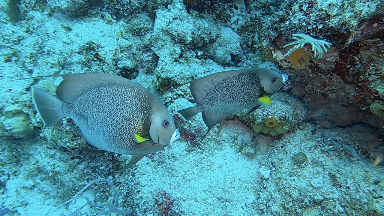 Photo of Outdoor in Majahual