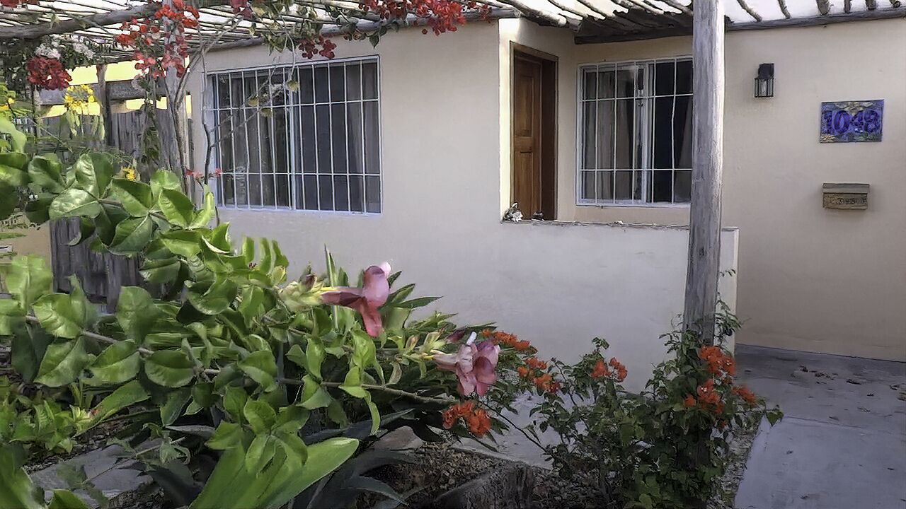 Photo of Outdoor in Majahual
