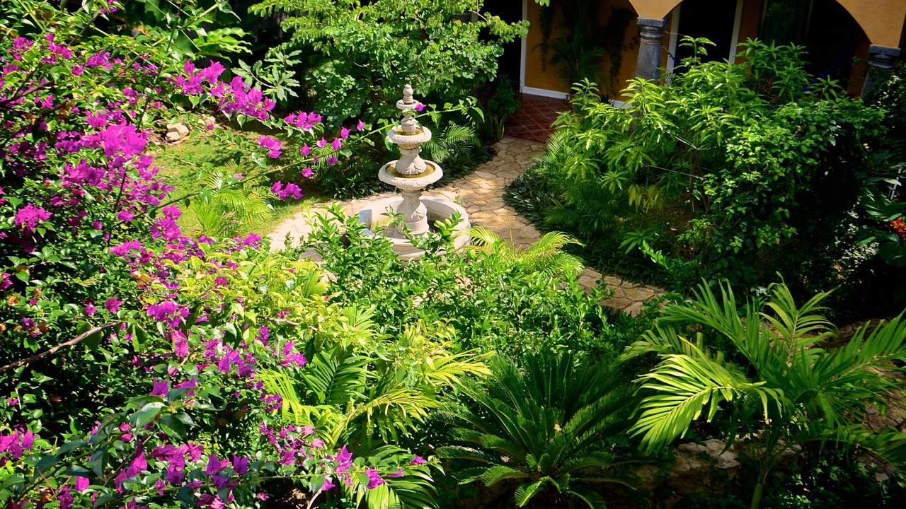 Photo of Outdoor in Xcaret