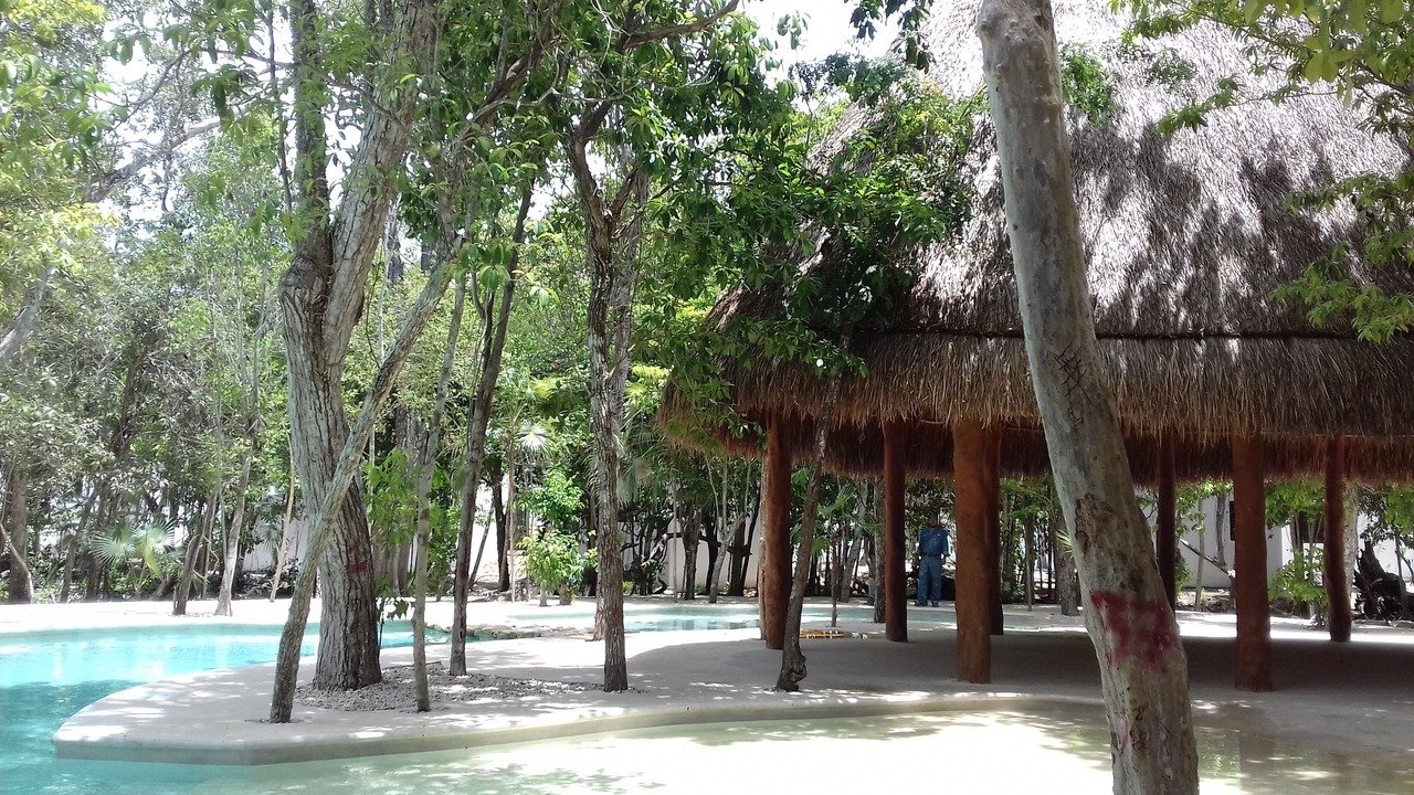 Photo of Outdoor in Puerto Morelos