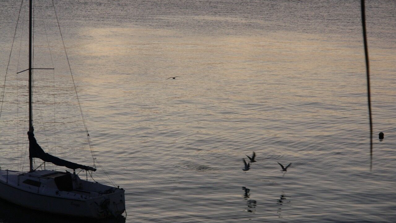 Photo of Others in Puerto Juarez
