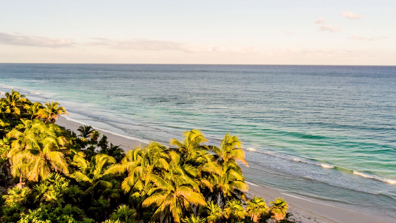 Photo of Others in Playa Paraiso