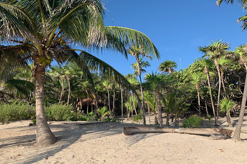 Photo of Outdoor in Playa Paraiso