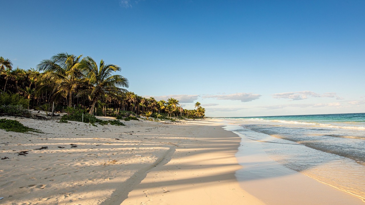Photo of Others in Playa Paraiso