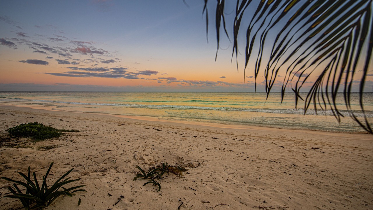 Photo of Others in Playa Paraiso