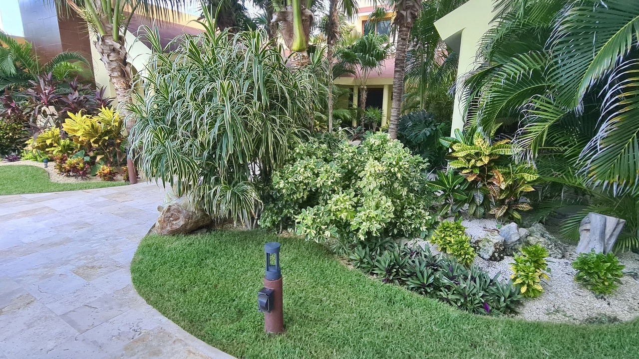 Photo of Outdoor in Colonia Salina Chica