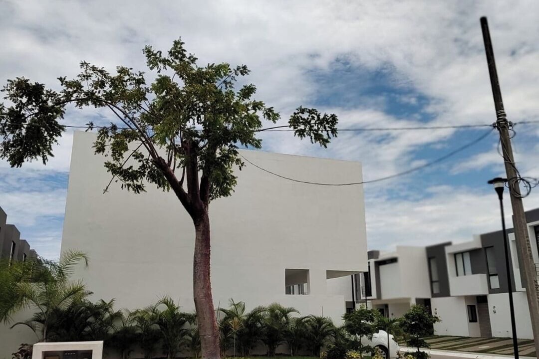 Photo of Outdoor in Valle Dorado