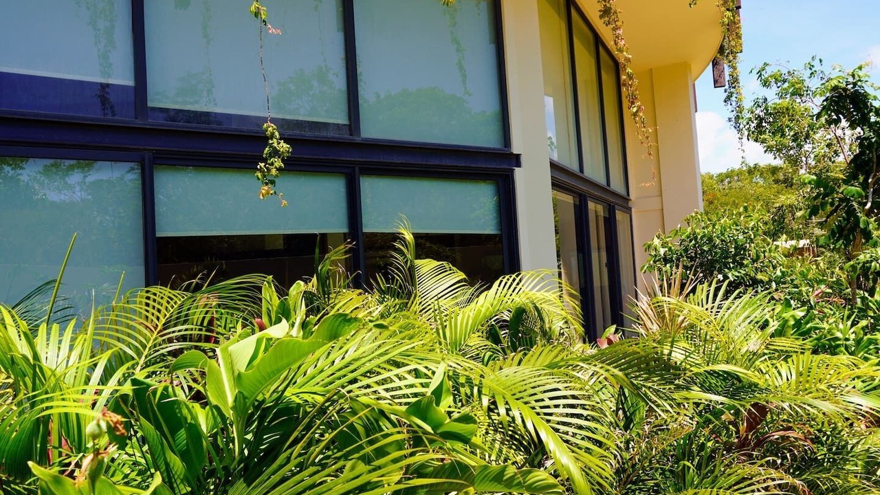 Photo of Outdoor in Tulum