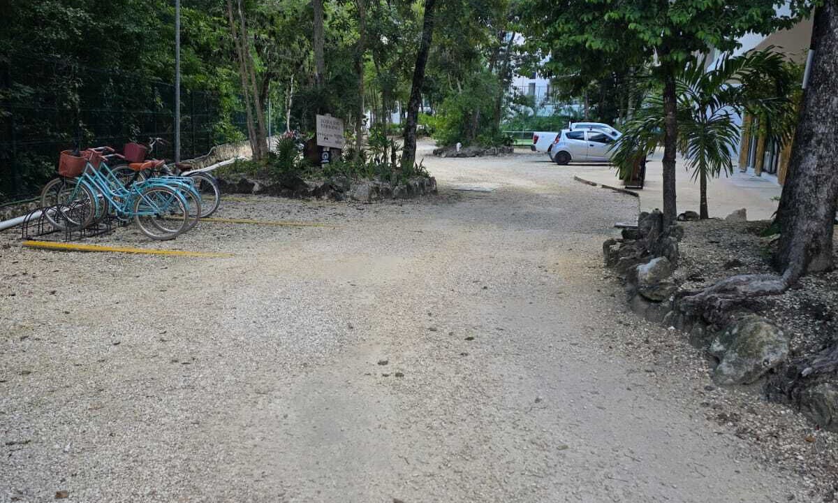 Photo of Others in Tulum