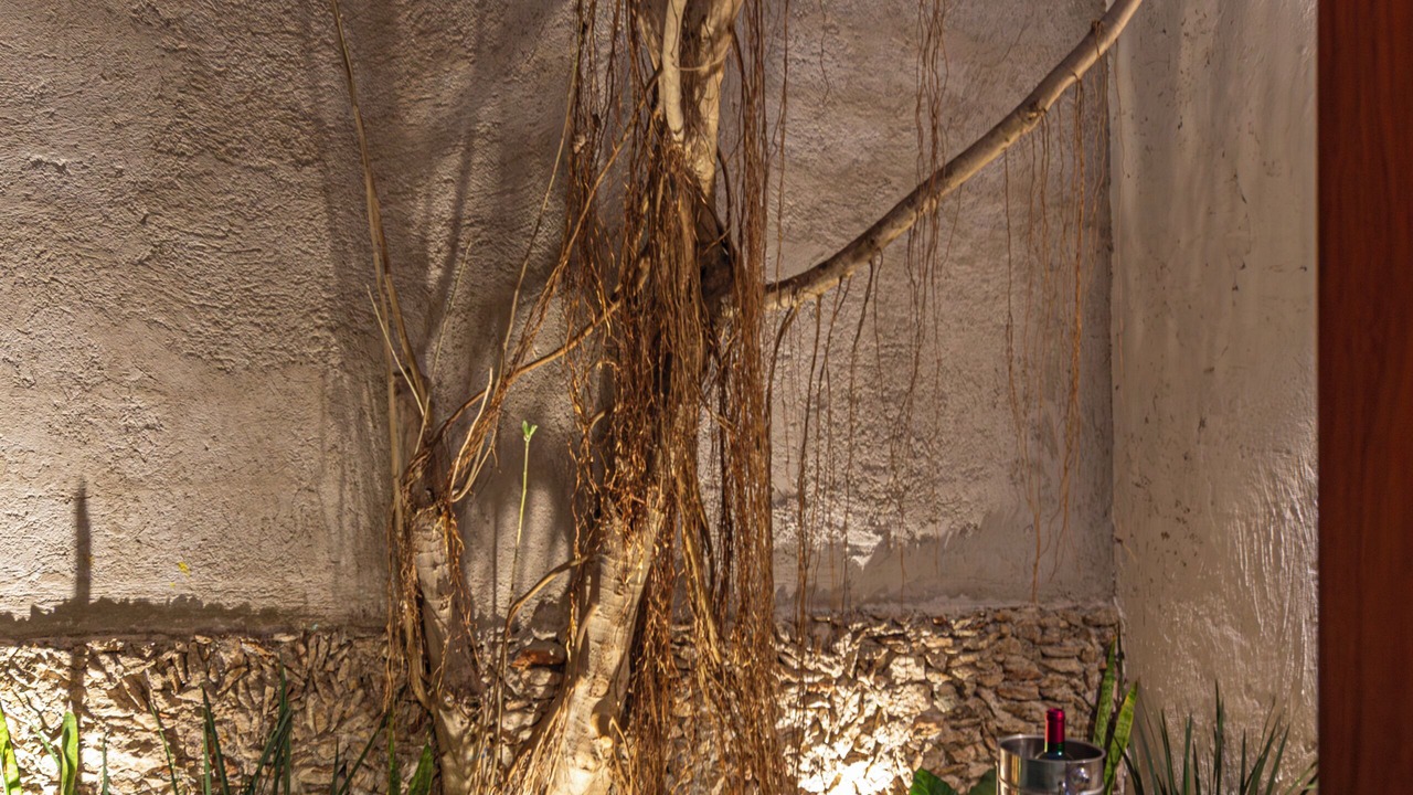 Photo of Outdoor in Centro