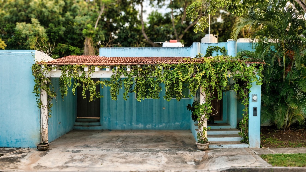 Photo of Outdoor in Chichen Itza - Valladolid