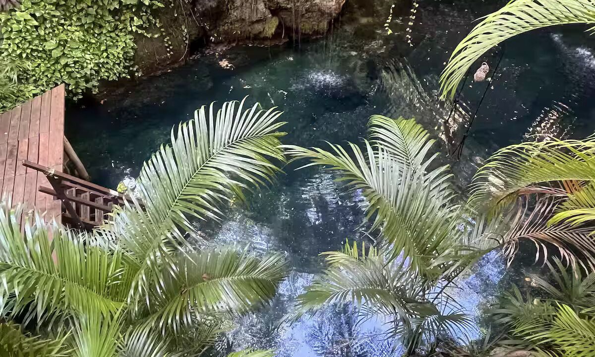 Photo of Outdoor in Playacar