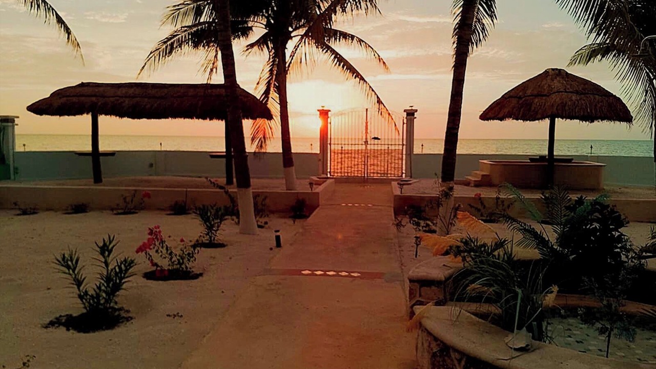 Photo of Outdoor in Celestun
