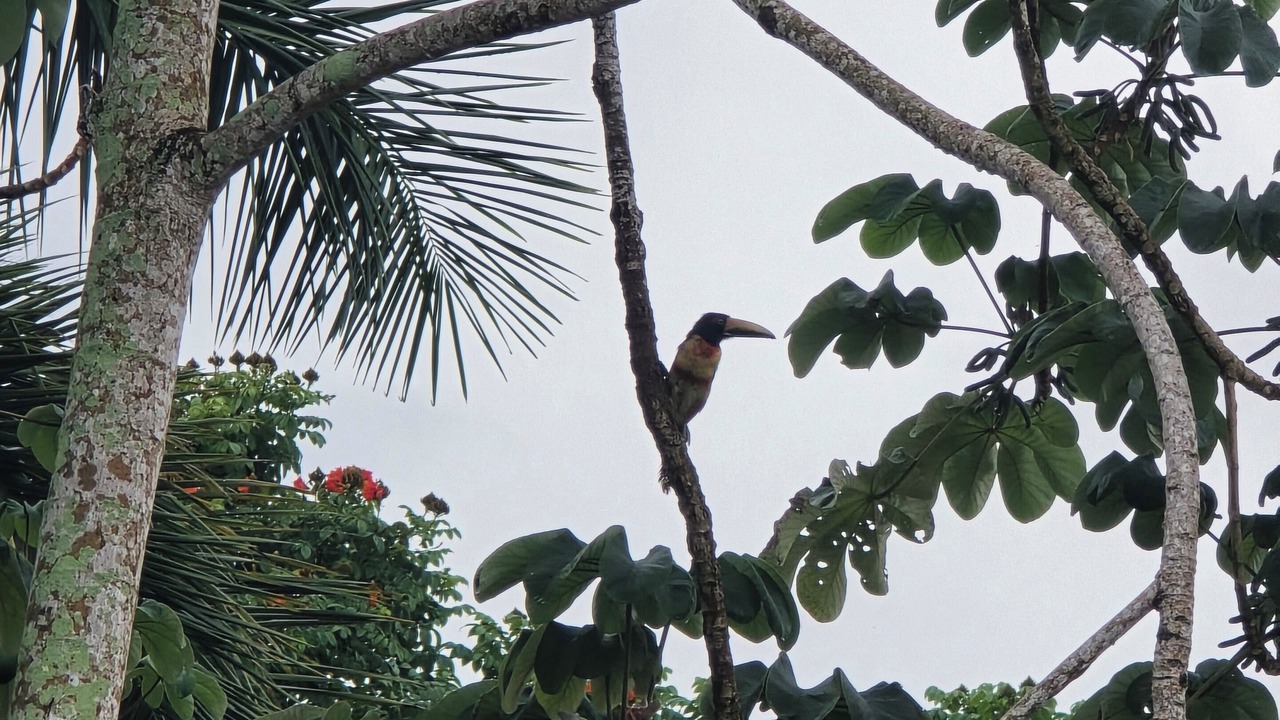 Photo of Others in Bacalar