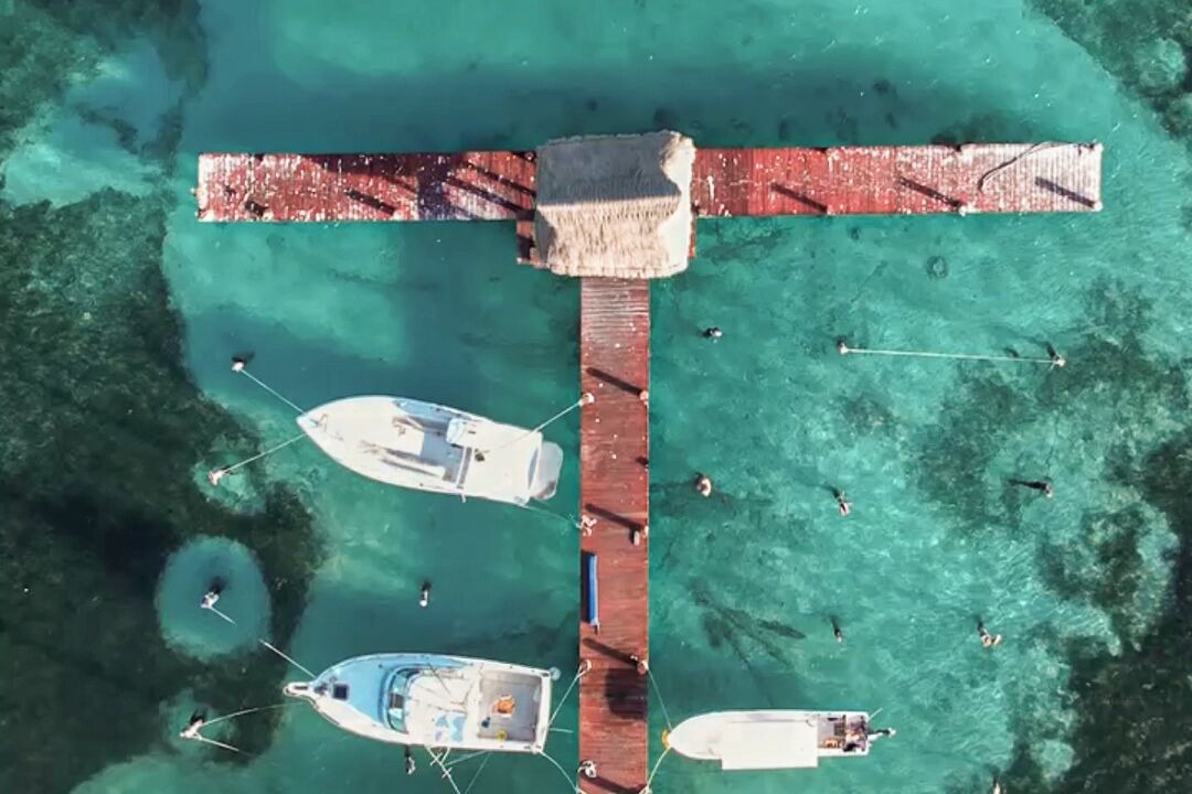 Photo of Others in Puerto Morelos