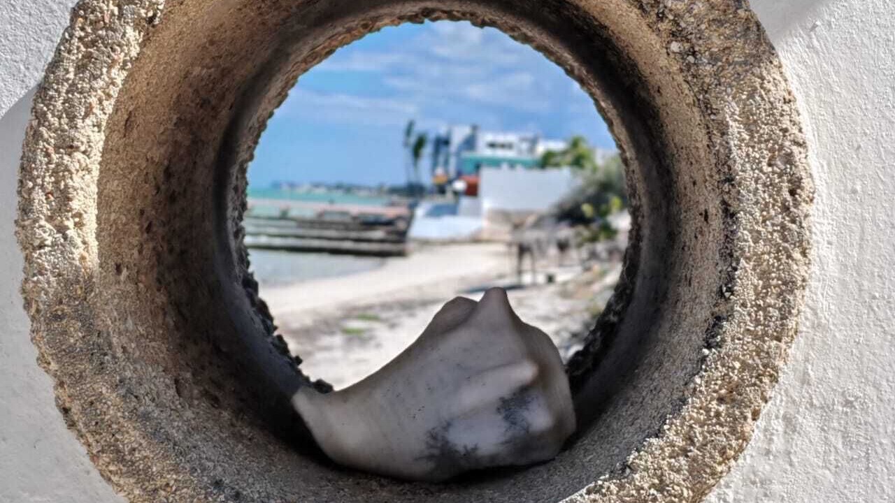Photo of Outdoor in Chuburna Puerto