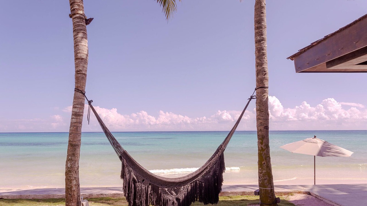 Photo of Others in Playacar