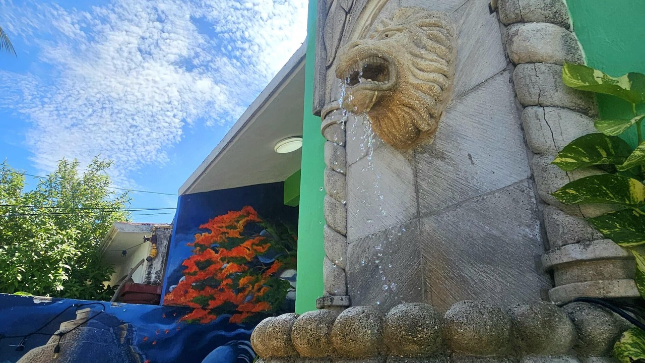 Photo of Outdoor in Downtown Cancun