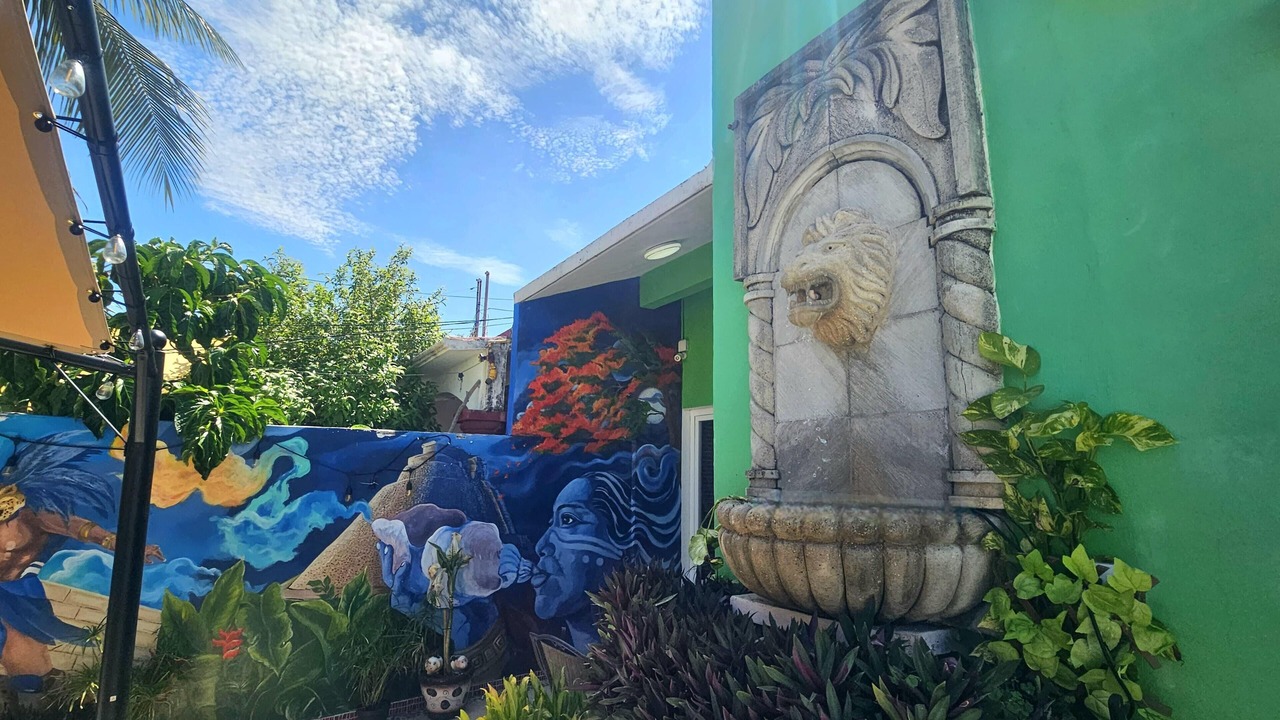 Photo of Outdoor in Downtown Cancun