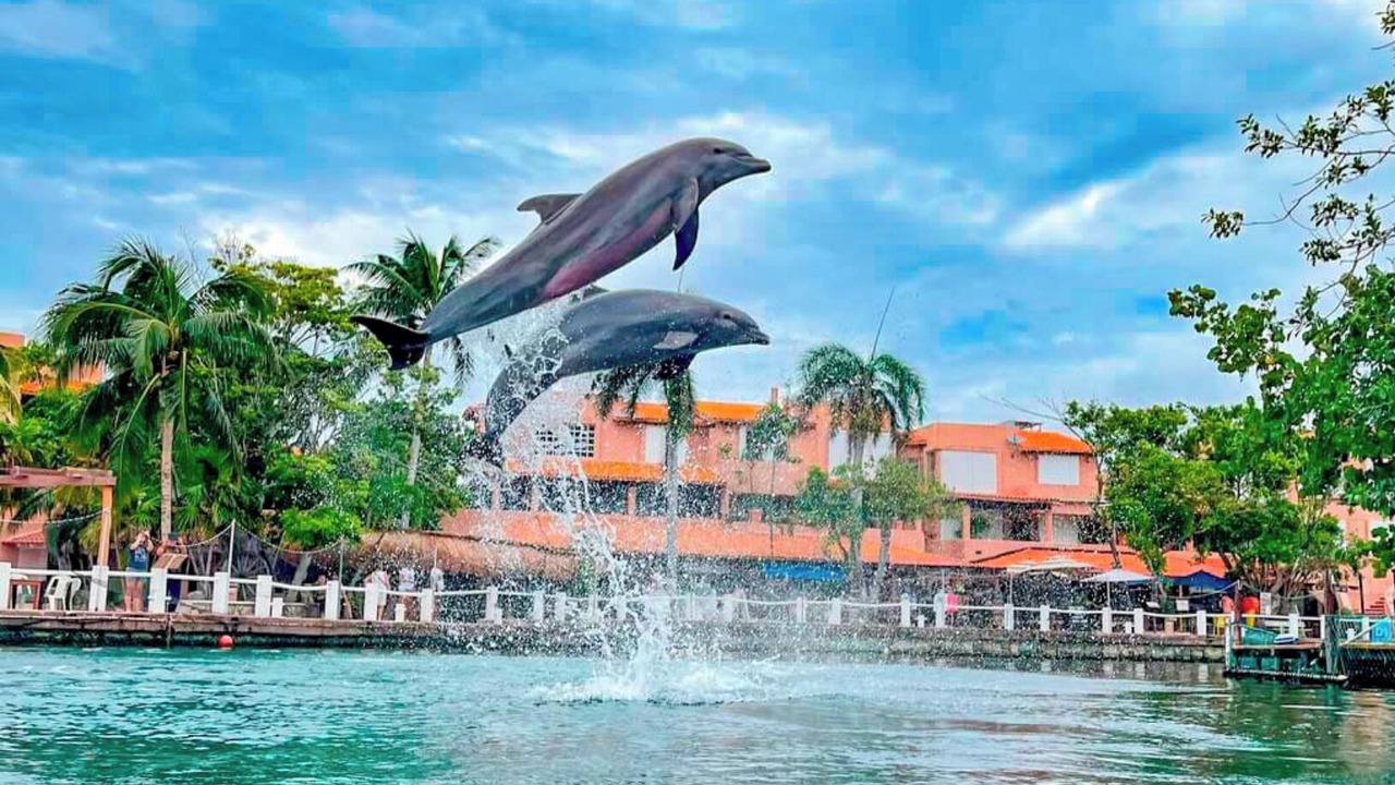 Photo of Others in Puerto Aventuras