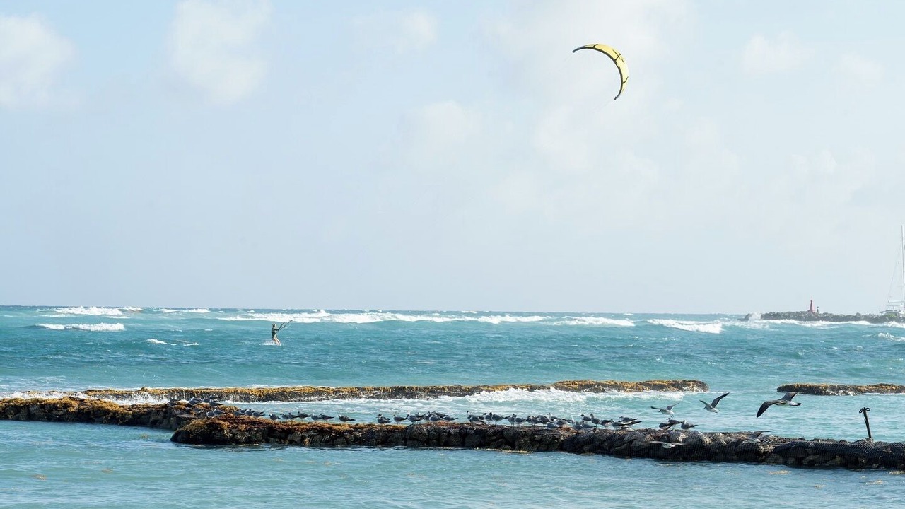 Photo of Others in Puerto Aventuras