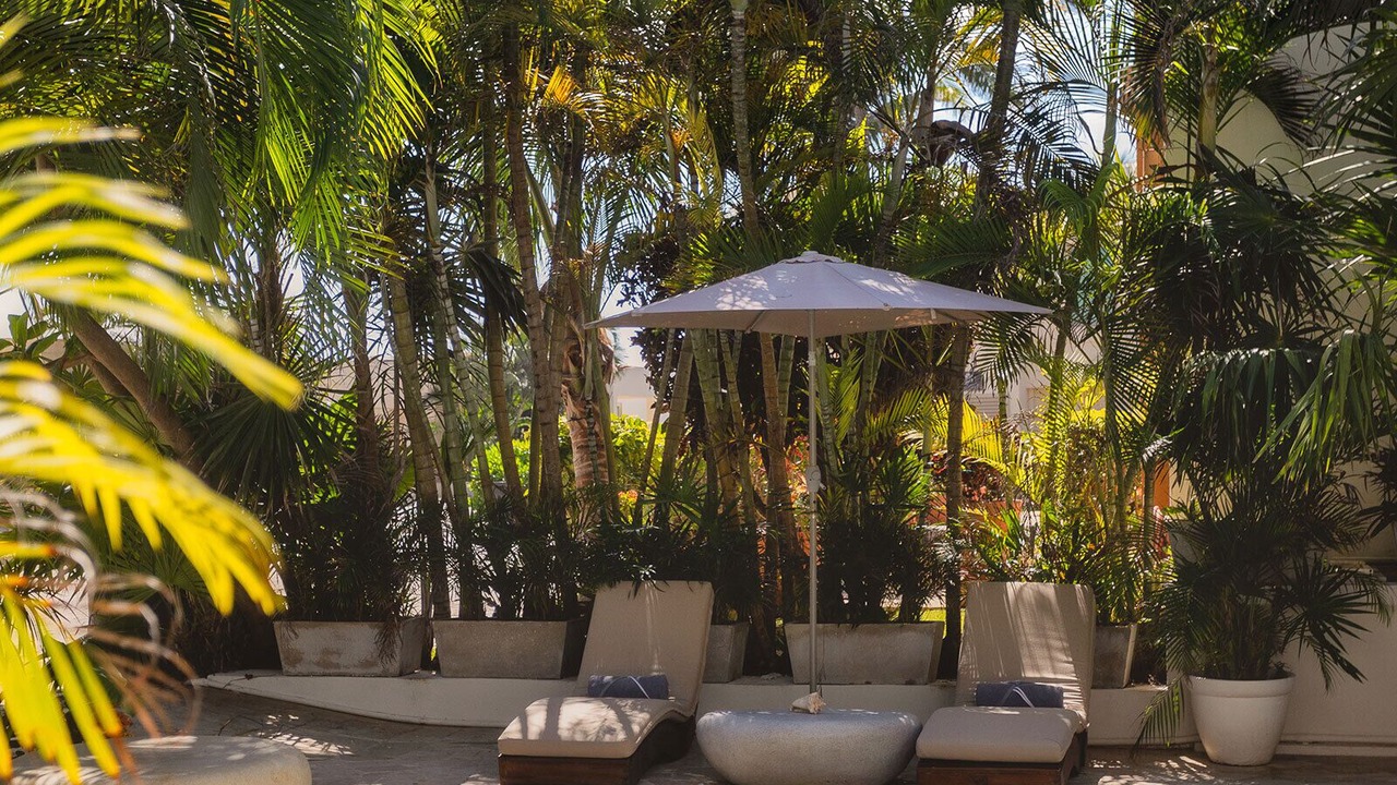 Photo of Outdoor in Playacar Fase I