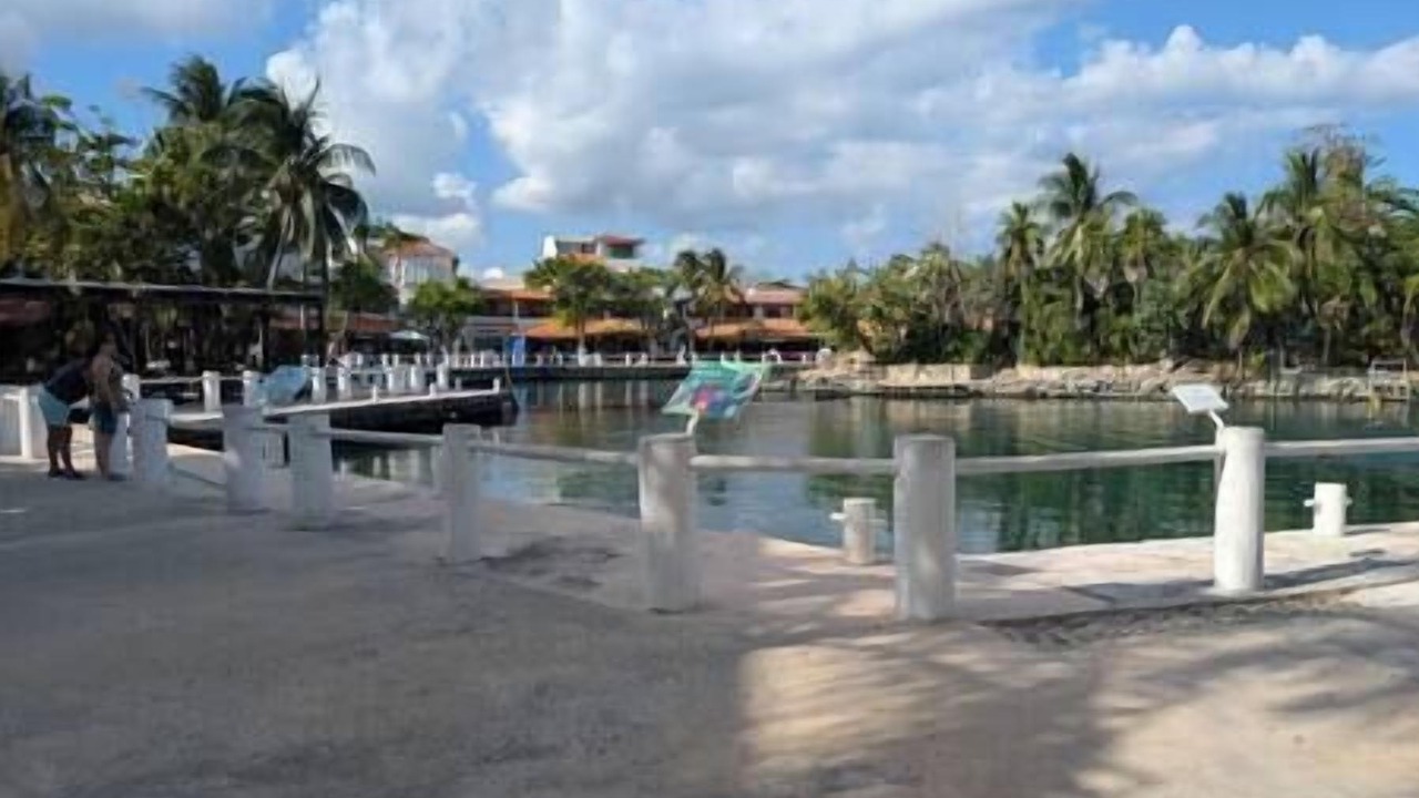 Photo of Others in Puerto Aventuras