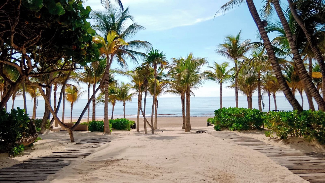 Photo of Others in Tulum