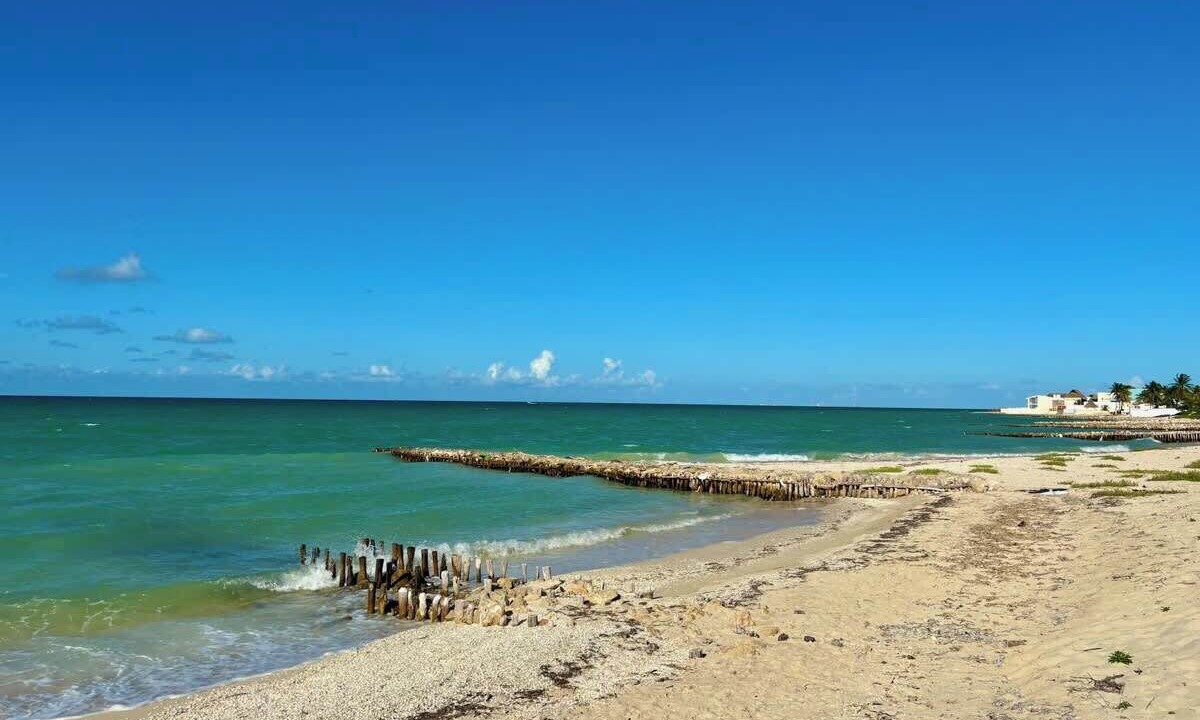 Photo of Others in Chuburna Puerto