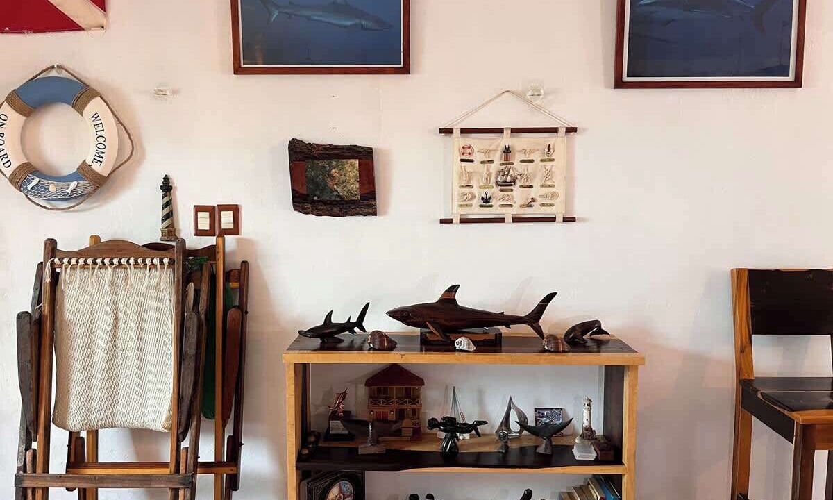 Photo of Others in Chuburna Puerto
