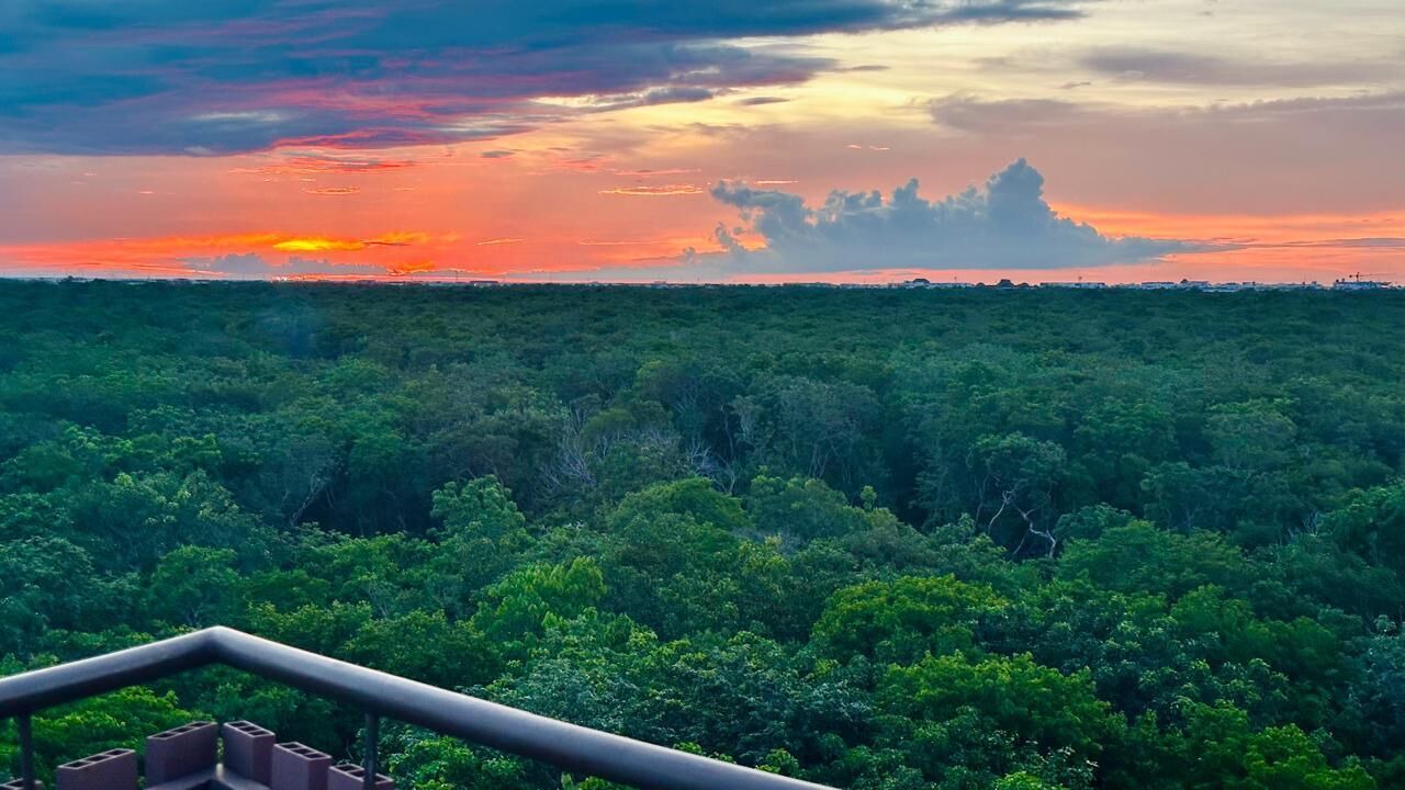 Photo of Outdoor in Playa Paraiso