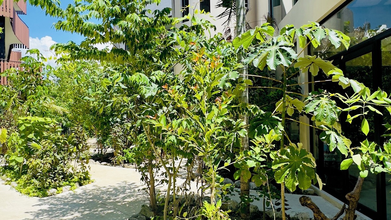 Photo of Outdoor in Playa Paraiso