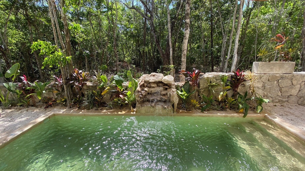 Photo of Outdoor in Chemuyil