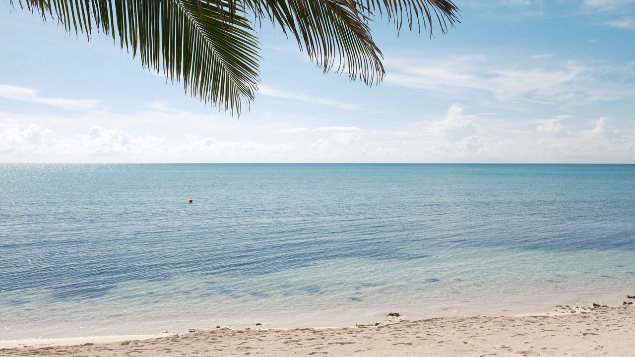 Photo of Others in Soliman Bay