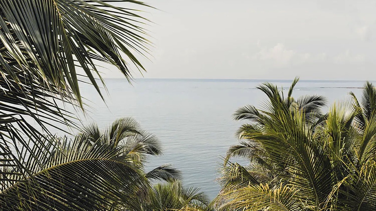 Photo of Others in Soliman Bay