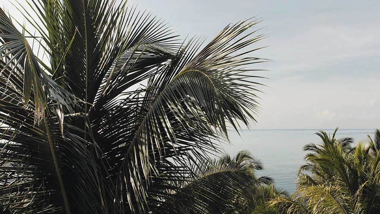 Photo of Others in Soliman Bay