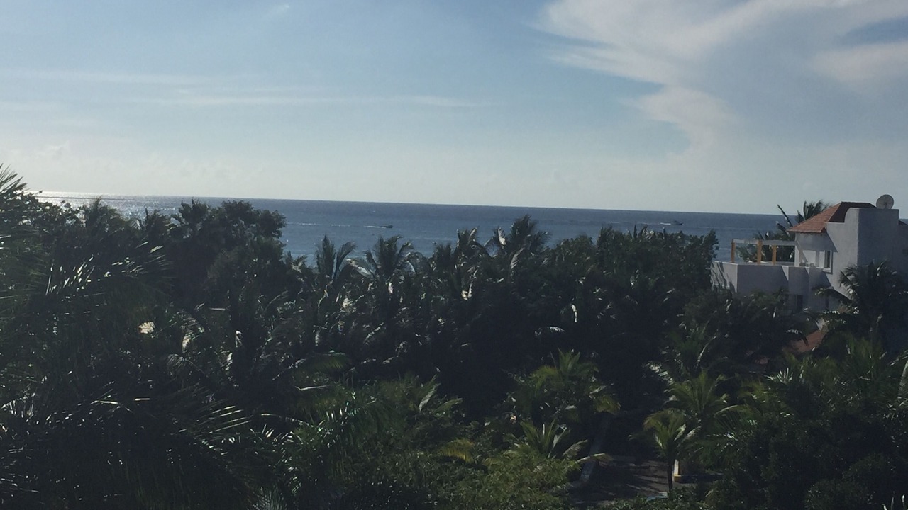 Photo of Others in Costa Maya