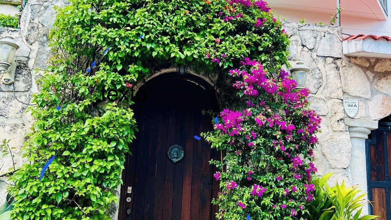 Photo of Outdoor in Colonia Maravilla