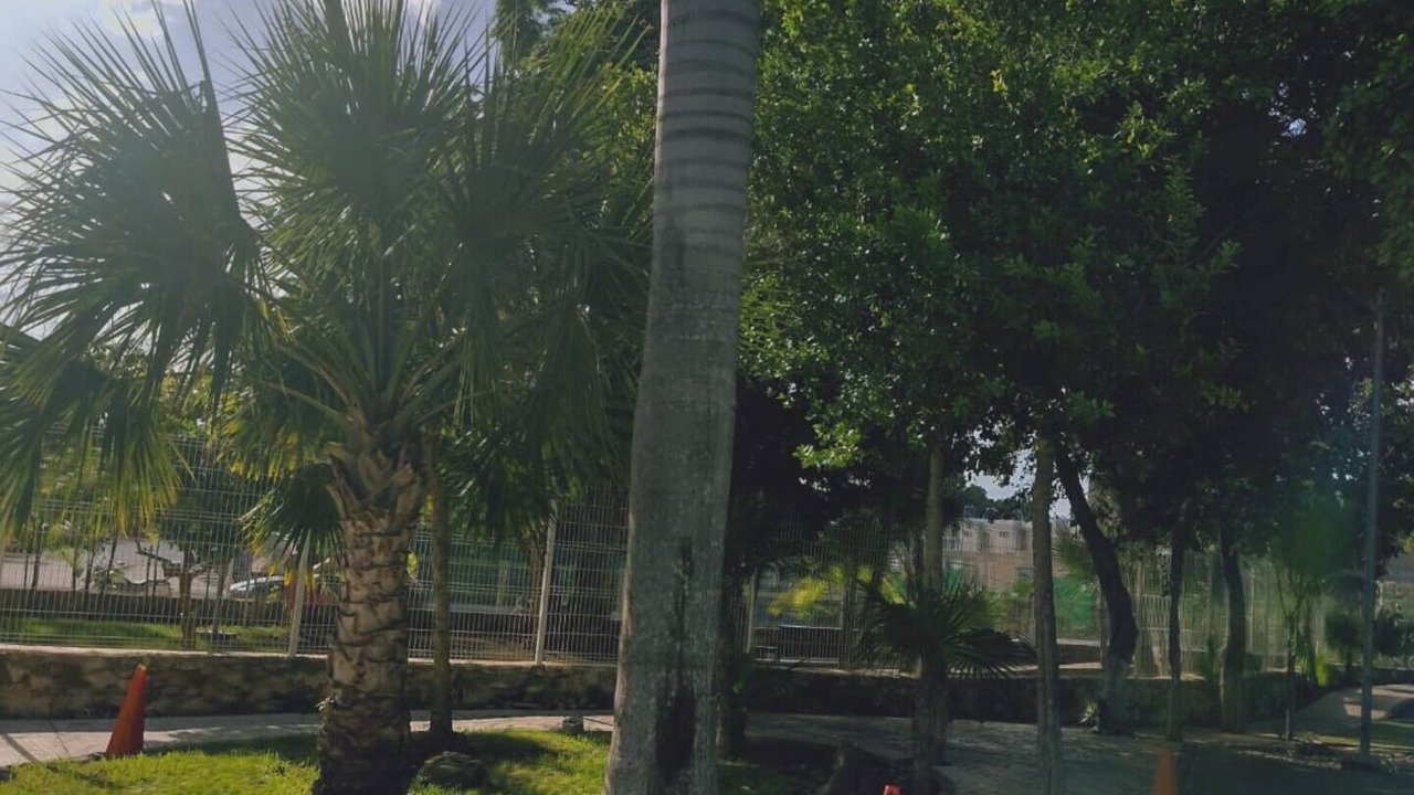 Photo of Outdoor in Jacinto Pat