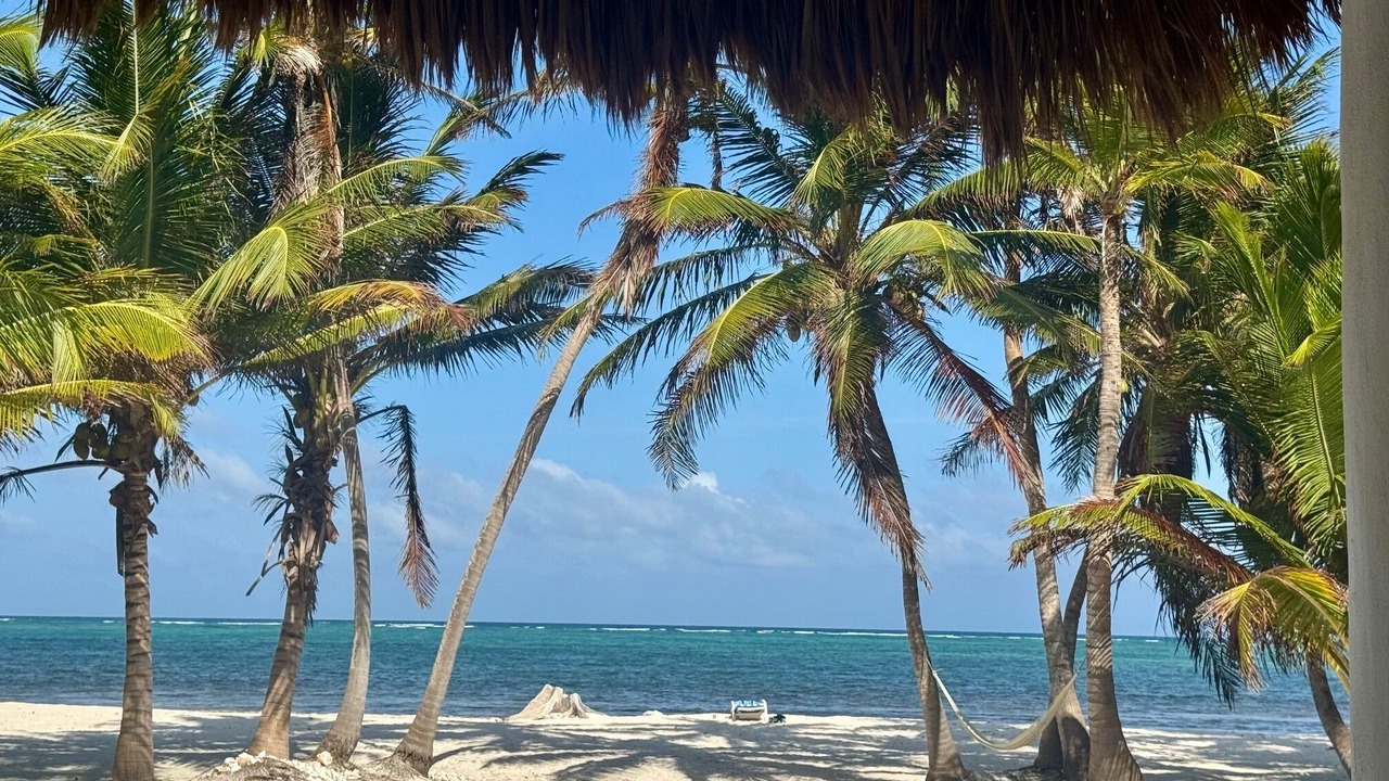 Photo of Others in Majahual