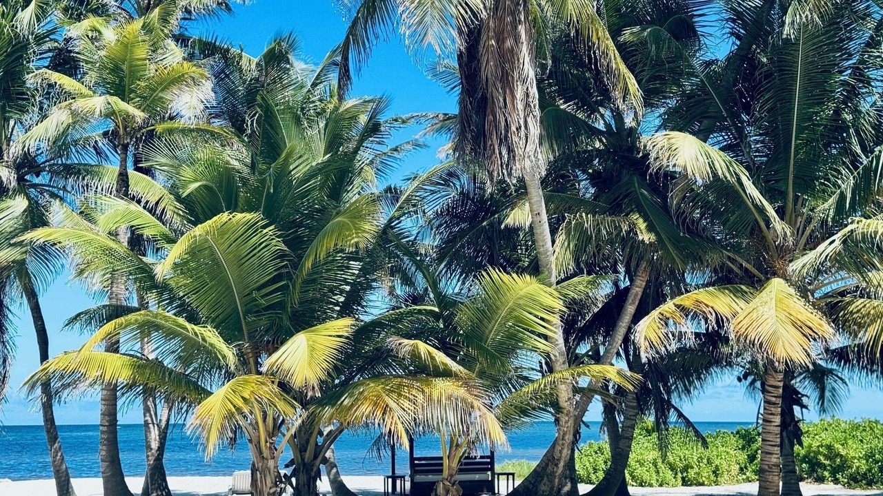 Photo of Others in Majahual