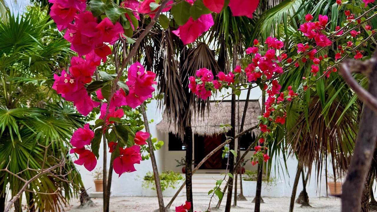 Photo of Outdoor in Majahual