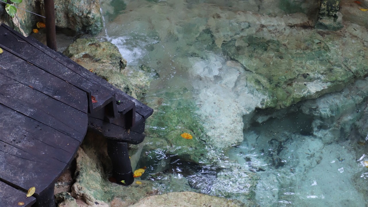 Photo of Others in Tulum