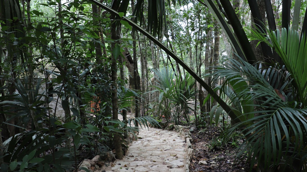 Photo of Outdoor in Tulum