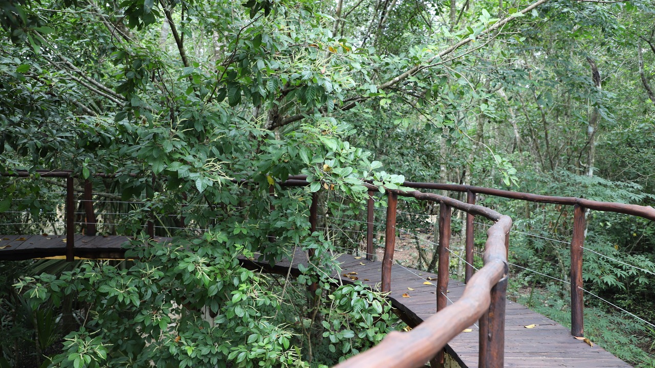 Photo of Outdoor in Tulum